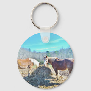 Rescued Draft Horses eating hay Keychain
