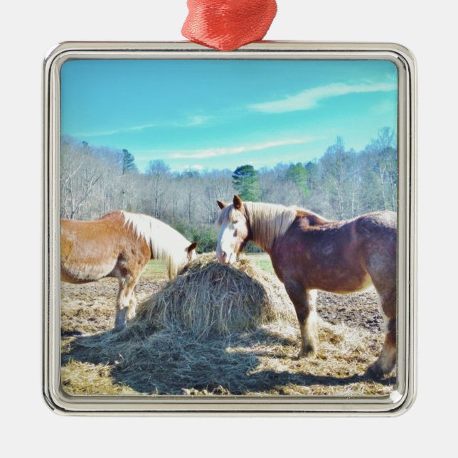 Rescued Draft Horses eating hay Metal Ornament (Front)