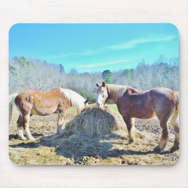 Rescued Draft Horses eating hay Mouse Pad (Front)