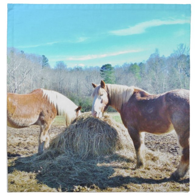 Rescued Draft Horses eating hay Napkin (Front)