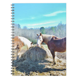 Rescued Draft Horses eating hay Notebook