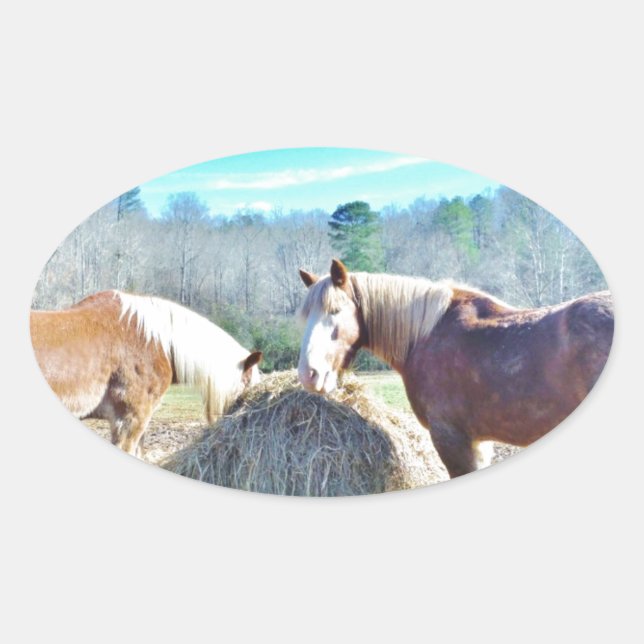 Rescued Draft Horses eating hay Oval Sticker (Front)