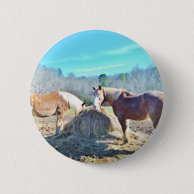 Rescued Draft Horses eating hay Pinback Button (Front)
