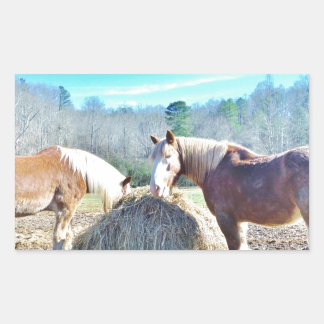 Rescued Draft Horses eating hay Rectangular Sticker (Front)
