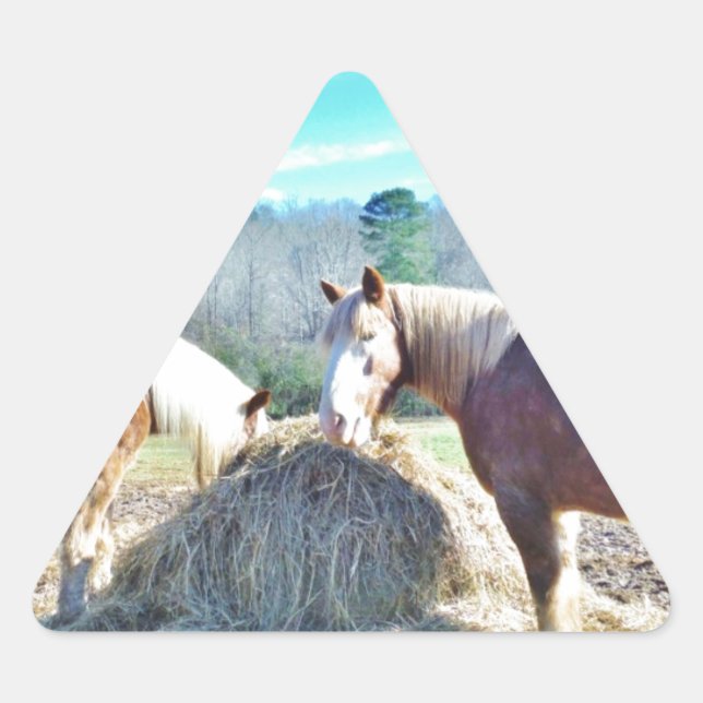 Rescued Draft Horses eating hay Triangle Sticker (Front)