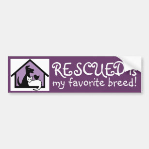 Rescued is my favorite breed! bumper sticker