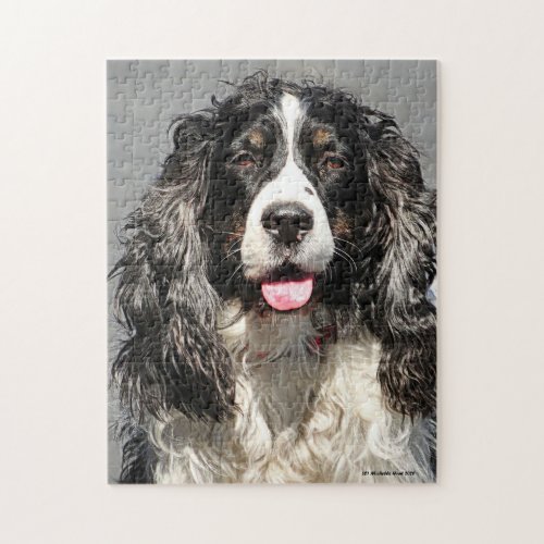 Rescued Springer Spaniel Dog Jigsaw Puzzle