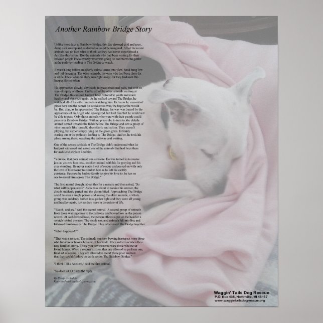 Rescuer's Rainbow Bridge poster (Front)