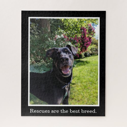 Rescues Are The Best Breed Your Pet Picture Photo Jigsaw Puzzle