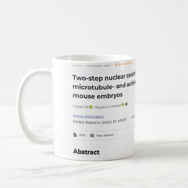 Research Paper Publication on Coffee Mug Gift (Left)