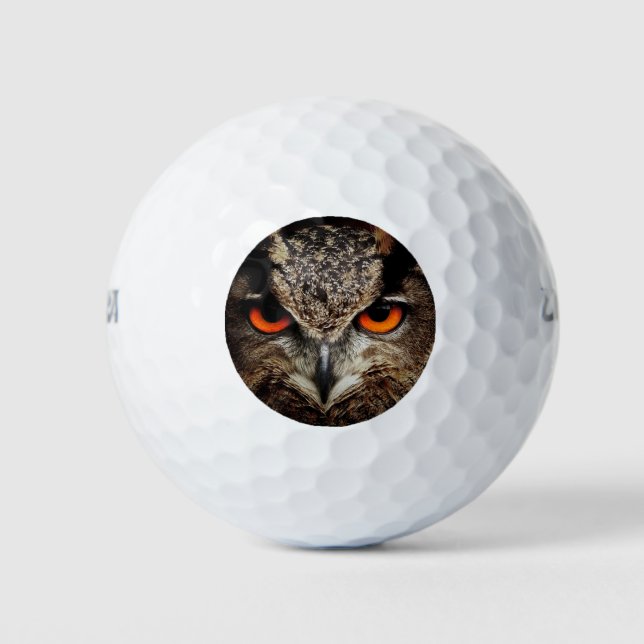 researchers looking owl golf balls (Front)