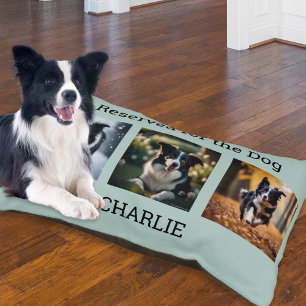 Reserved for the Dog Multi Photo Collage Duck Egg Pet Bed