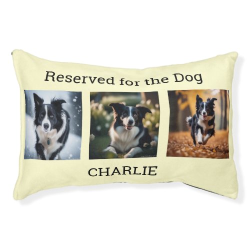 Reserved for the Dog Multi Photo Modern Cream Pet Bed