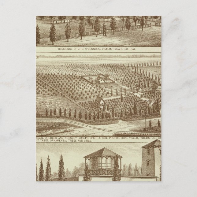 Residence, nursery, stable, Visalia, Cal Postcard (Front)