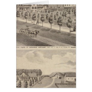 Residences and Farm, Minnesota
