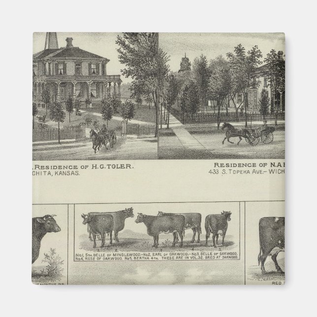 Residences and Stock Farm, Wichita, Kansas Magnet (Front)