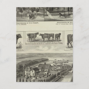Residences and Stock Farm, Wichita, Kansas Postcard