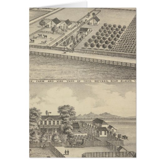 Residences, Black's Station (Front)