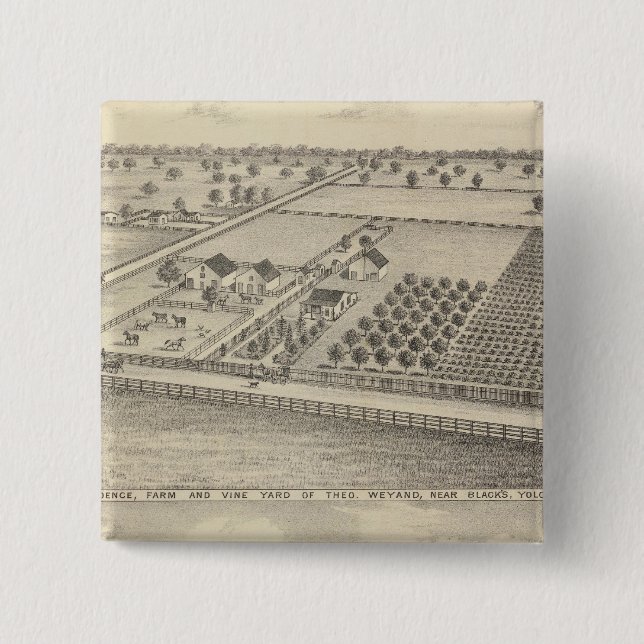 Residences, Black's Station Button (Front)