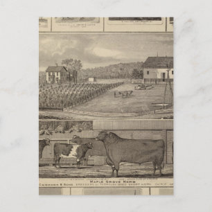 Residences, buildings & churches postcard