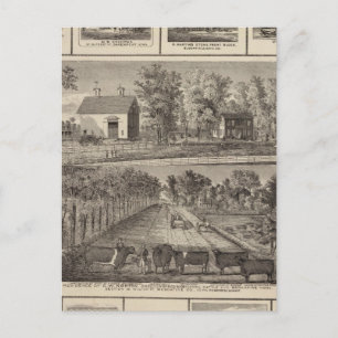 Residences & businesses in Muscatine Postcard