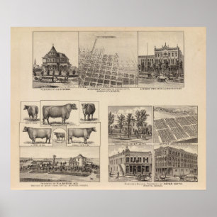 Residences in Kansas Poster