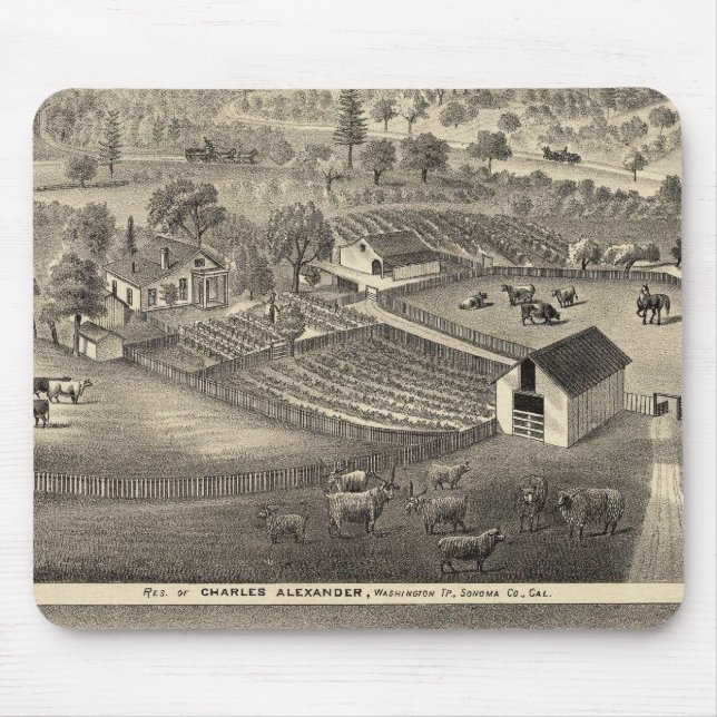 Residences of Charles Alexander Mouse Pad (Front)