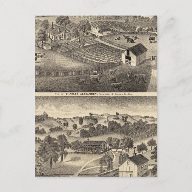 Residences of Charles Alexander Postcard (Front)