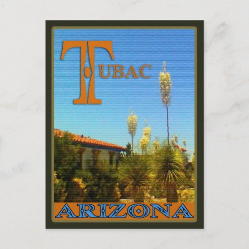 Residental Cactus Scene Tubac Arizona postcard