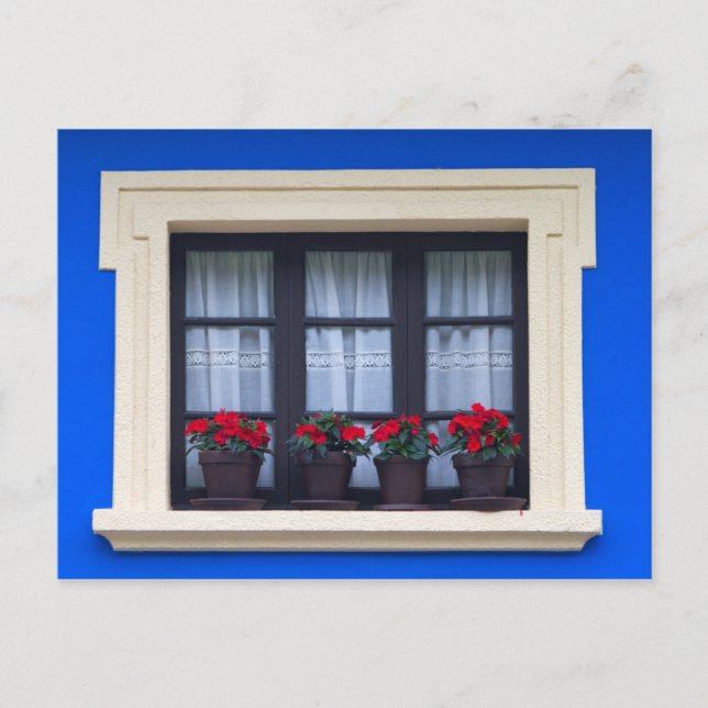 Residential housing with flowers in windows postcard (Front)