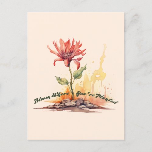 Resilience _ Bloom Where Youre Planted Postcard