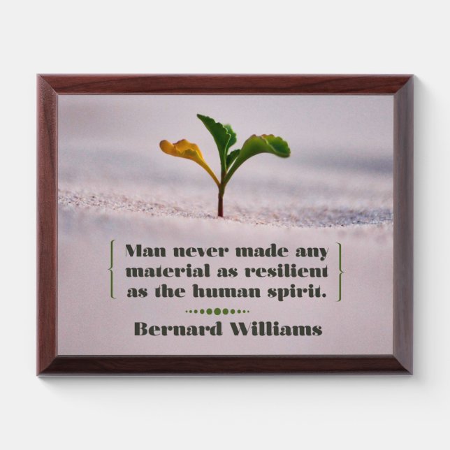 Resilient as the Human Spirit Award Plaque (Horizontal)