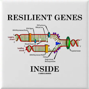 Resilient Genes Inside (DNA Replication) Pinback Button