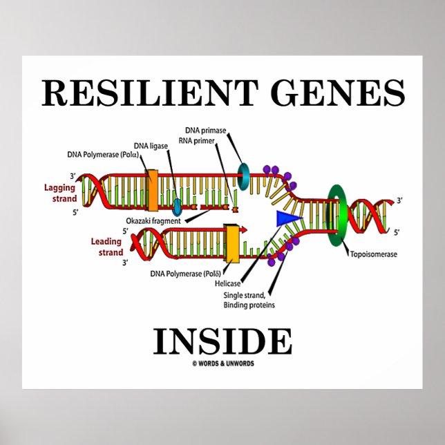 Resilient Genes Inside (DNA Replication) Poster (Front)