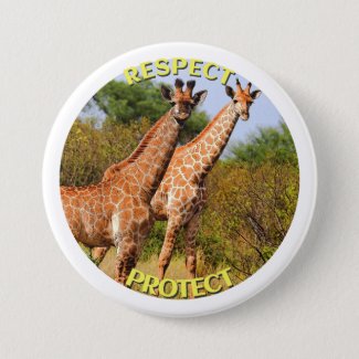 Respect and protect wildlife button