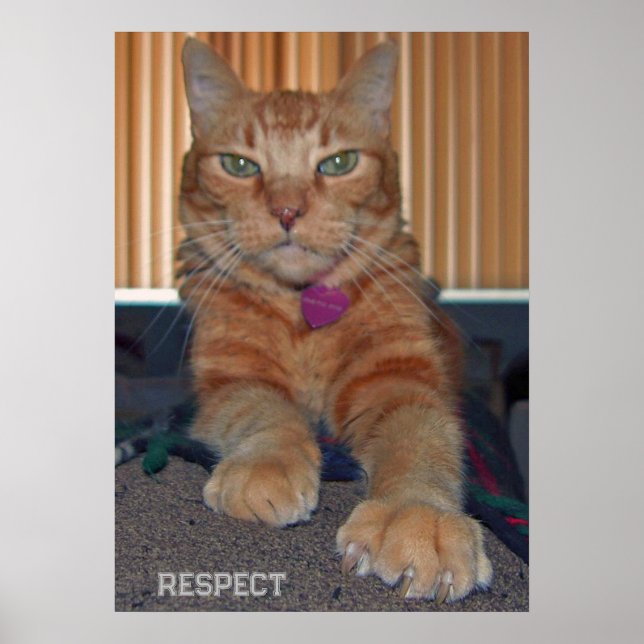 Respect Baz Cat Poster (Front)
