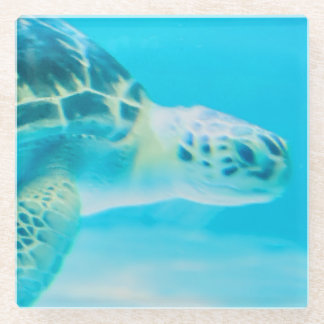 Respect Life, Keep the Ocean Clean Glass Coaster