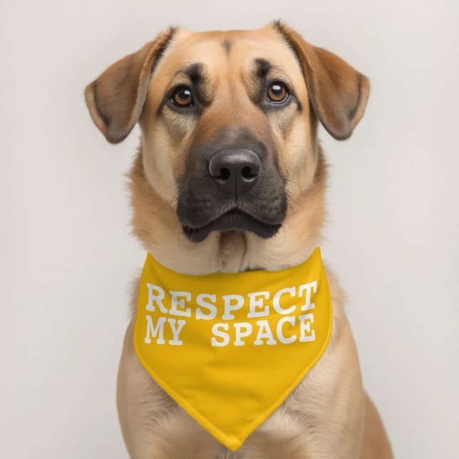 Respect My Space Dog Pet Bandana Collar (Dog 2)