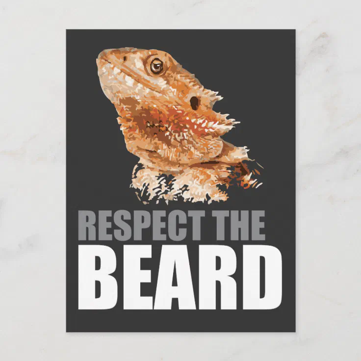 Respect The Beard Funny Bearded Dragon Postcard Zazzle