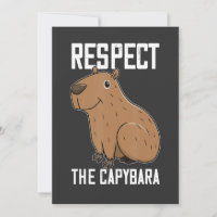 Respect The Capybara Funny Rodent Capibara Photo