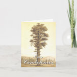 [ Thumbnail: Respectable & Elegant "Our Condolences…" Card ]