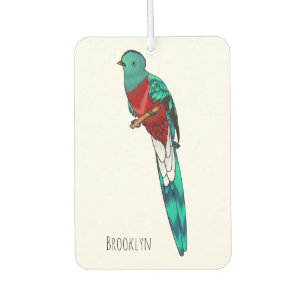 Resplendent quetzal bird cartoon illustration  air freshener