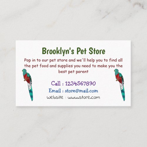 Resplendent quetzal bird cartoon illustration  business card