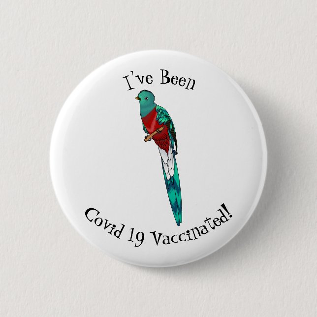Resplendent quetzal bird cartoon illustration  button (Front)