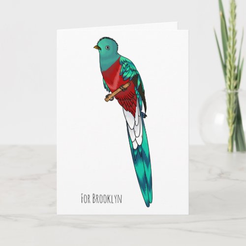 Resplendent quetzal bird cartoon illustration card
