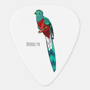 Resplendent quetzal bird cartoon illustration guitar pick