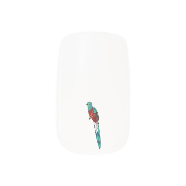 Resplendent quetzal bird cartoon illustration  minx nail art (Left Thumb)