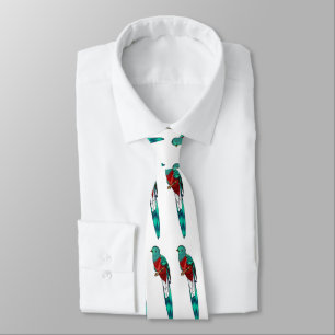 Resplendent quetzal bird cartoon illustration neck tie