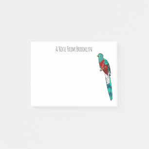 Resplendent quetzal bird cartoon illustration post-it notes