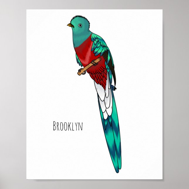 Resplendent quetzal bird cartoon illustration poster (Front)